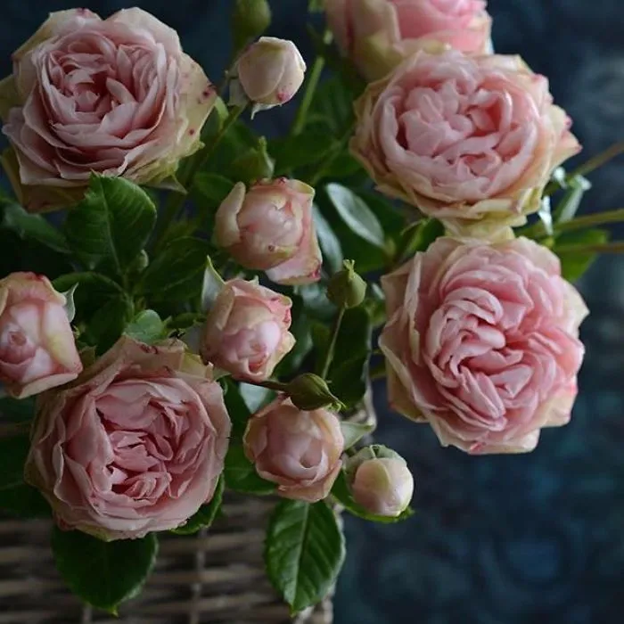 Woman Works As Hydraulics Engineer, But Leaves For Maternity Leave And Starts Making Realistic Porcelain Flowers