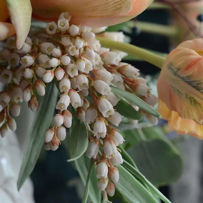 Woman Works As Hydraulics Engineer, But Leaves For Maternity Leave And Starts Making Realistic Porcelain Flowers