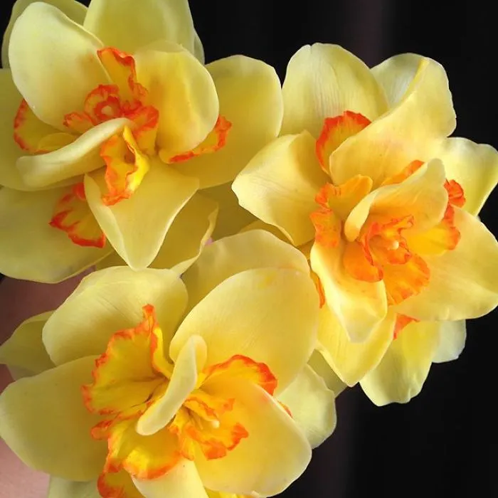 Woman Works As Hydraulics Engineer, But Leaves For Maternity Leave And Starts Making Realistic Porcelain Flowers