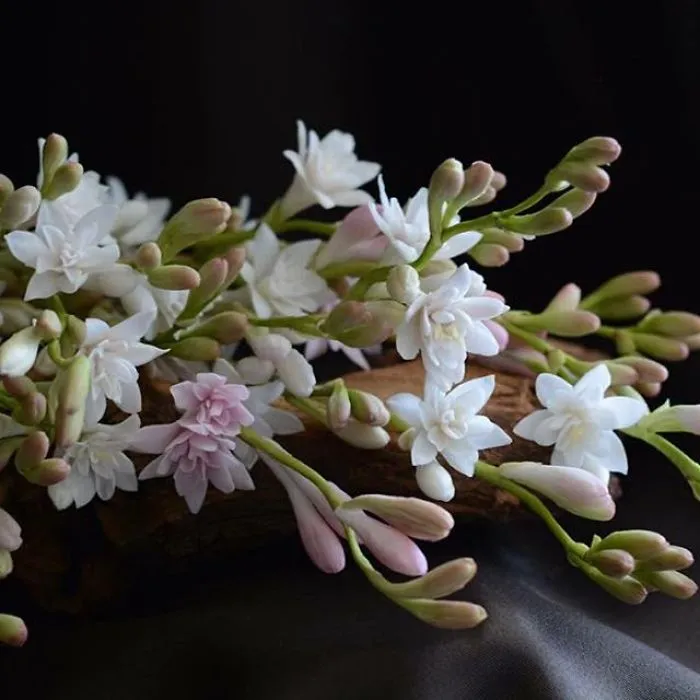 Woman Works As Hydraulics Engineer, But Leaves For Maternity Leave And Starts Making Realistic Porcelain Flowers