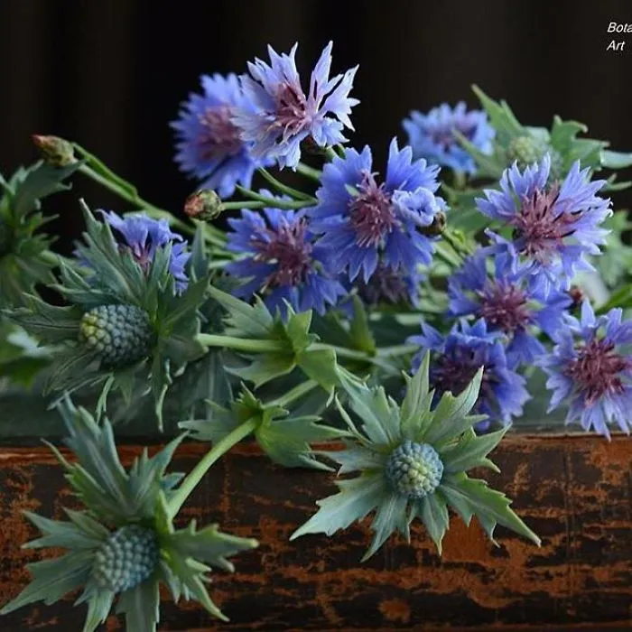 Woman Works As Hydraulics Engineer, But Leaves For Maternity Leave And Starts Making Realistic Porcelain Flowers
