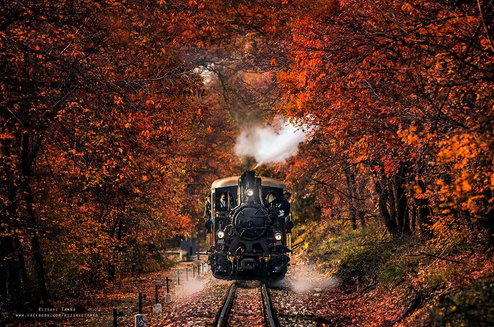 I Spent Five Years Taking Train Pictures In Exciting Places (65 Pics)