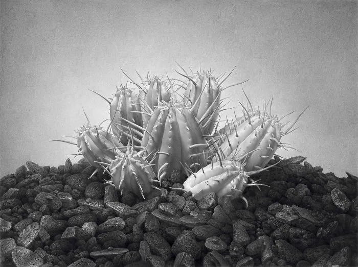 Giant (40 x 50, Graphite On Paper, 2002)