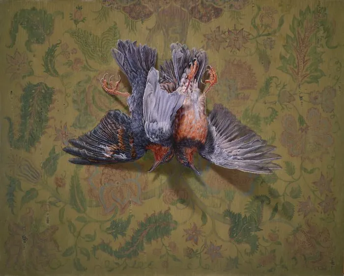 Varied Thrush (24 x 30, Oil On Panel, 2020)