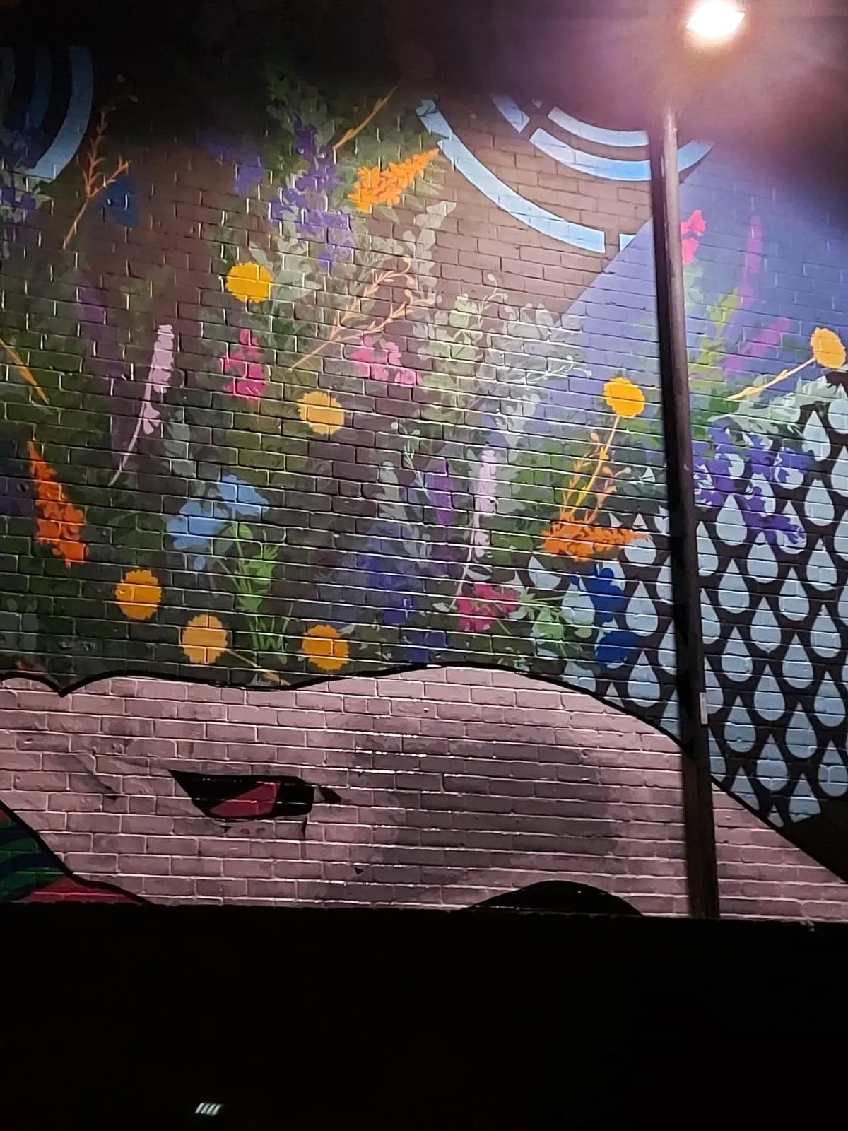 A Park In Doncaster Is The Latest Canvas For Street Artists Craig Evans And Tom Jackson, Who Work Together Under The Name Static.
