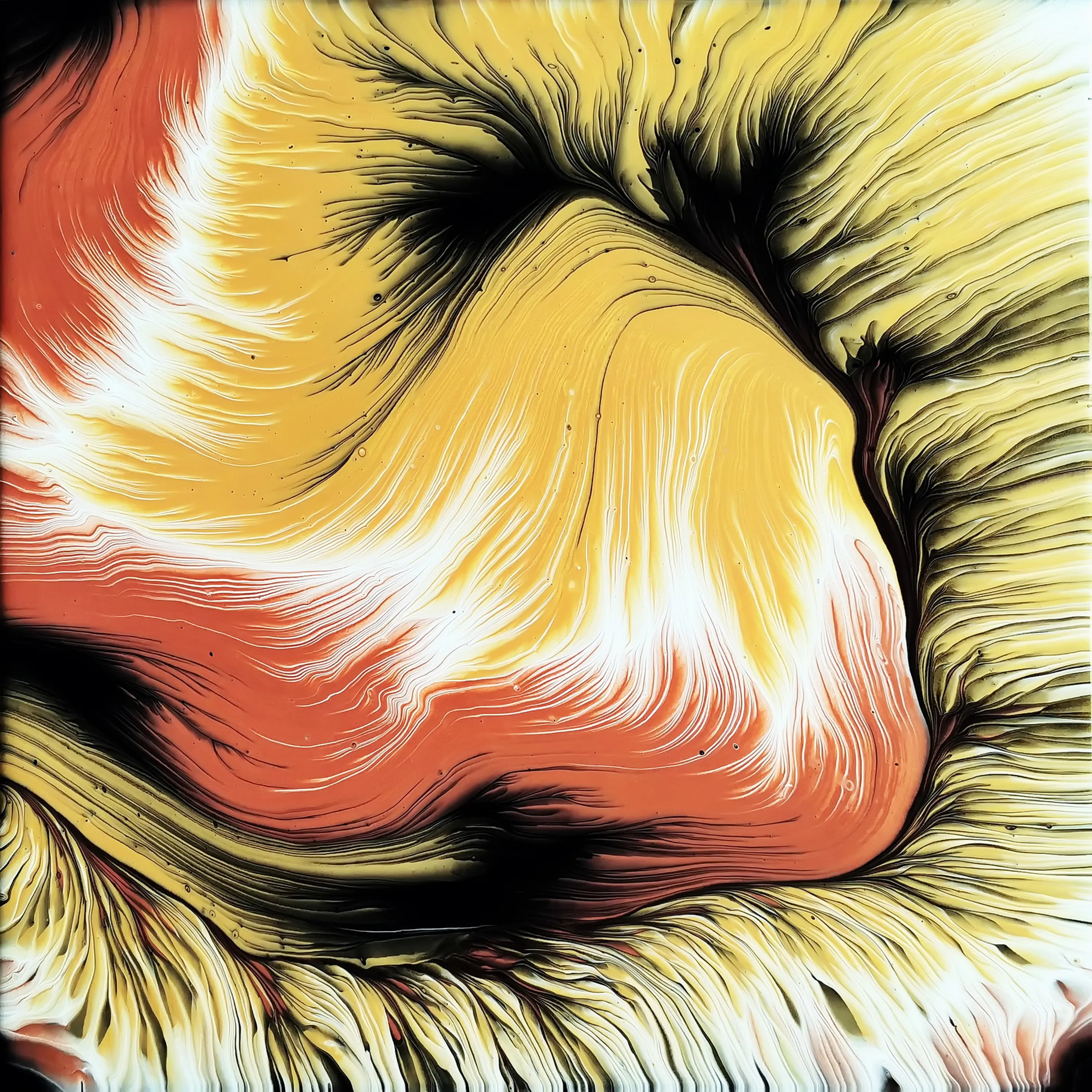Acrylic Pouring ~ Copper, Gold, Black And White ~ Split Cup Straight Pour