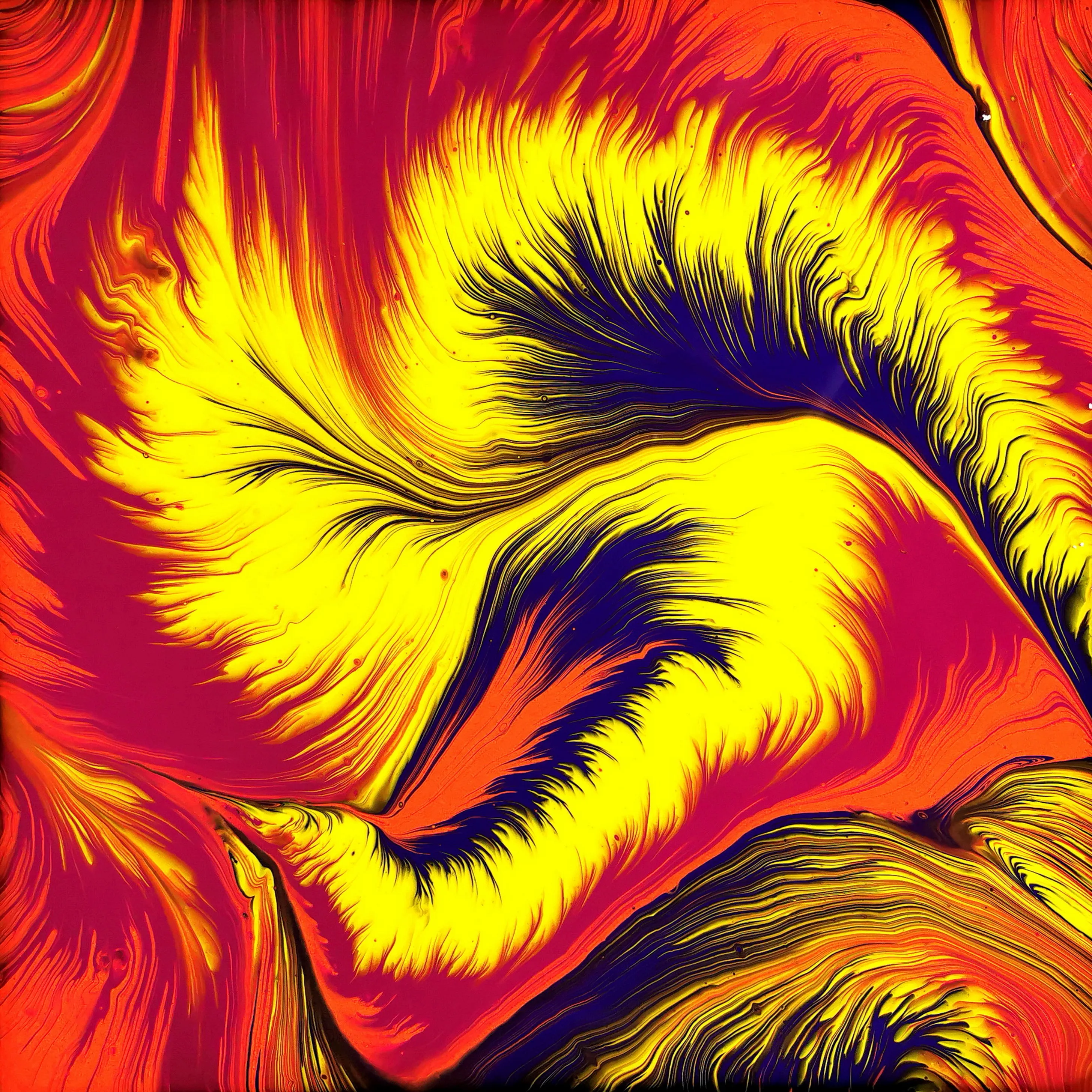 Split Cup Acrylic Pour ~ Sunset Colours ~ Spin Art ~ Relaxing