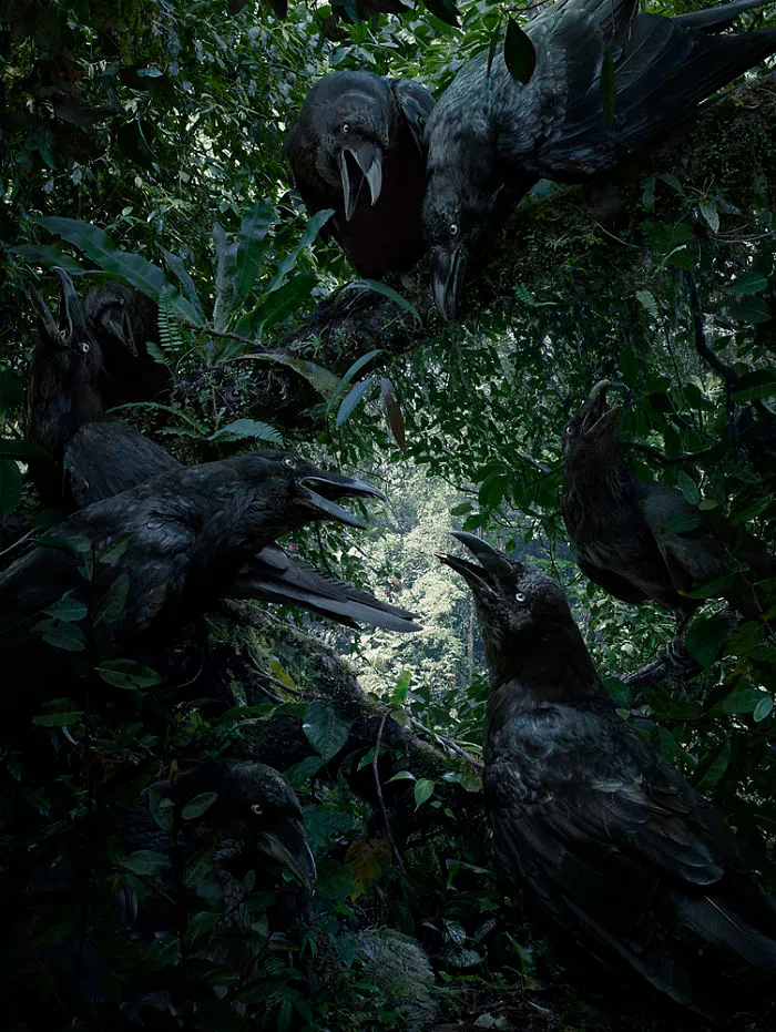 37 Surreal And Magical Animal Images By Simen Johan