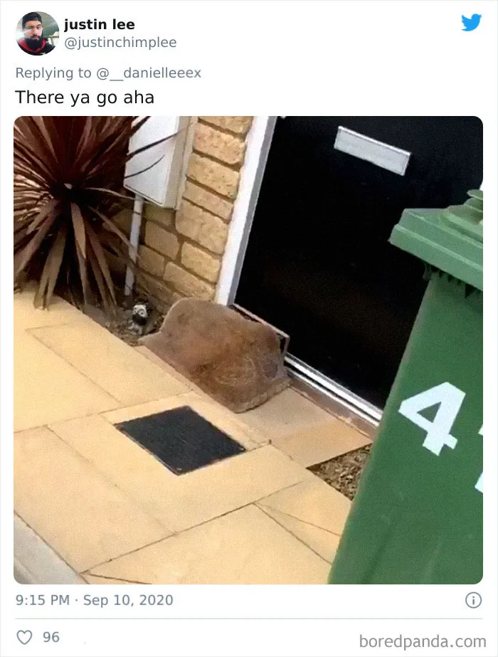 People Are Sharing How Amazon 'Hides' Their Deliveries In A Hilarious Twitter Thread