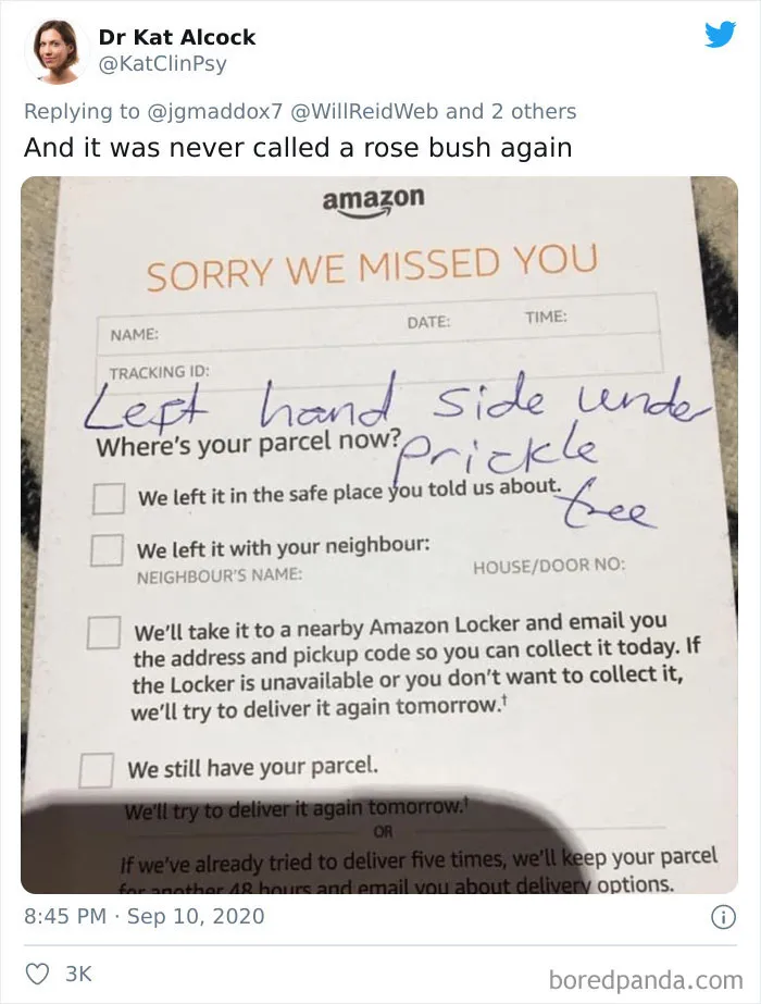 People Are Sharing How Amazon 'Hides' Their Deliveries In A Hilarious Twitter Thread