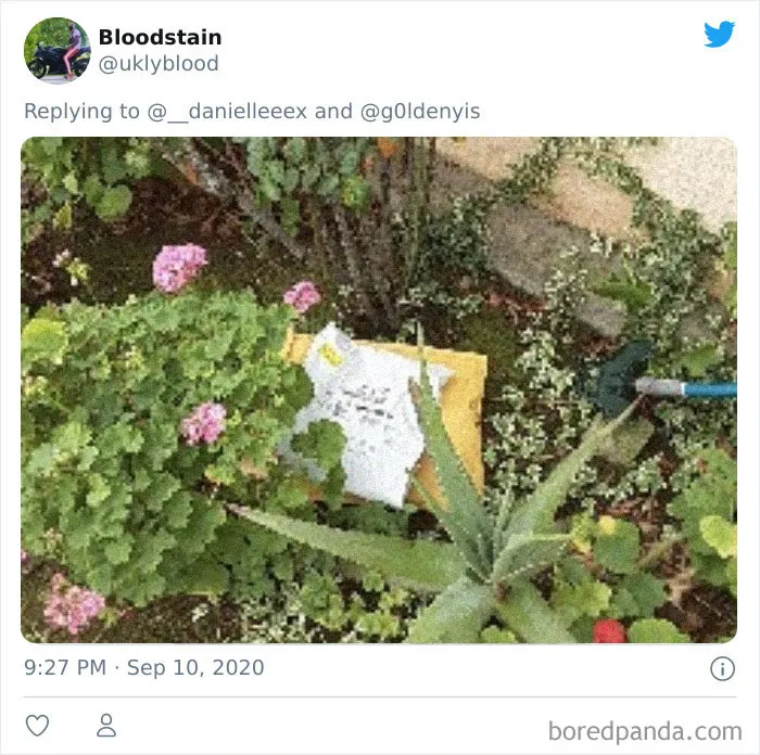 People Are Sharing How Amazon 'Hides' Their Deliveries In A Hilarious Twitter Thread