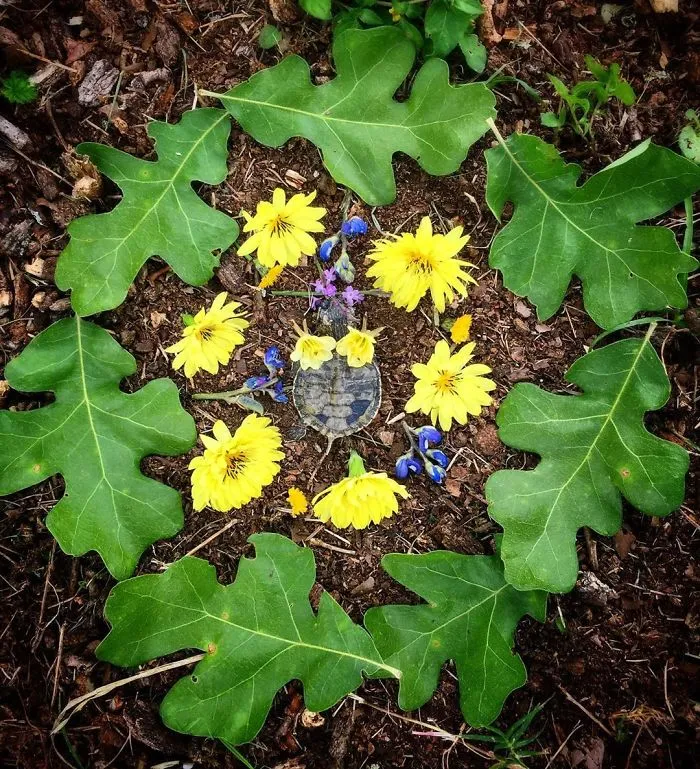 This Woman Creates Beautiful Memorials For Dead Animals She Comes Across And Here Are 25 Of The Most Heartbreaking Ones