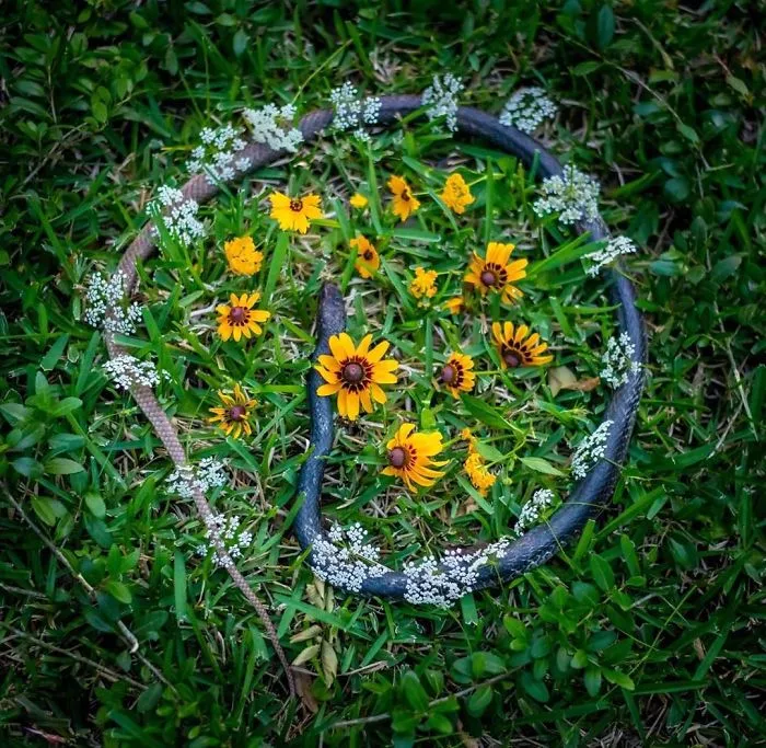 This Woman Creates Beautiful Memorials For Dead Animals She Comes Across And Here Are 25 Of The Most Heartbreaking Ones