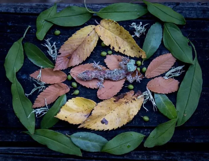 This Woman Creates Beautiful Memorials For Dead Animals She Comes Across And Here Are 25 Of The Most Heartbreaking Ones