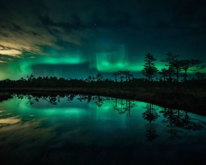 Shortlist - 'Dance Over The Swamp' By Kamil Nureev