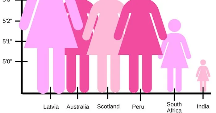 Someone Posts A Pictograph Of "Average Female Height" And People's Commentary Is Hilarious