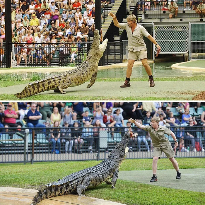 Dad And Me Feeding Murray. Same Place, Same Croc - Two Photos 15 Years Apart