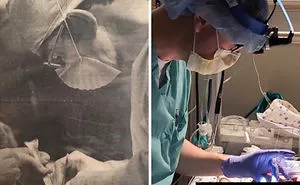 50 People Who Took Their Family Photo Recreations To The Next Level