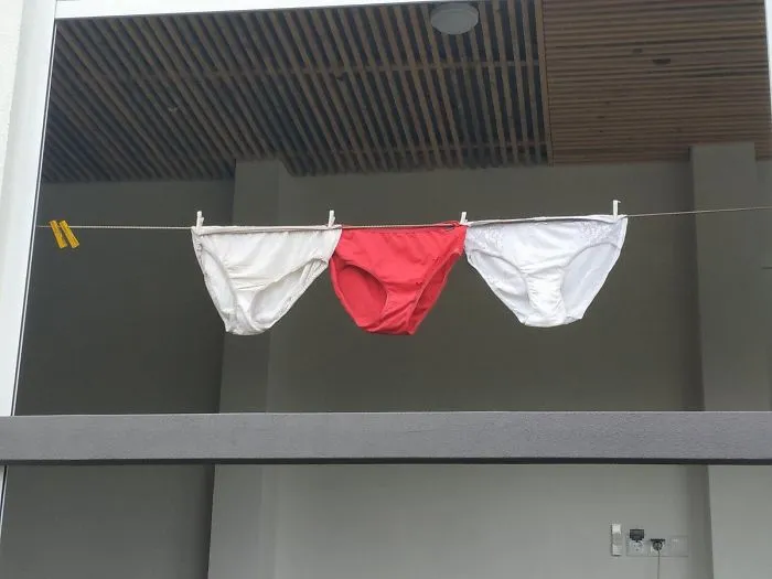 Belarus Authorities "Ban" White-Red-White Belarusian Flag, People Respond By Recreating Colors Of The Flag With Random Objects (9 Pics)