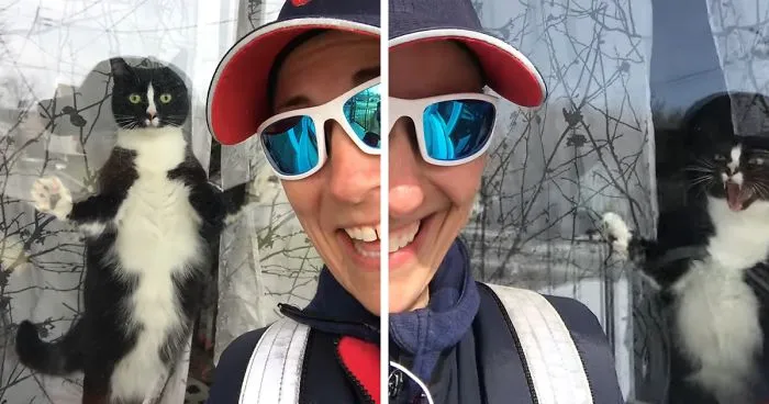 Mail Carrier Hilariously Documents How This Cat 'Protects' Its Domain Every Day
