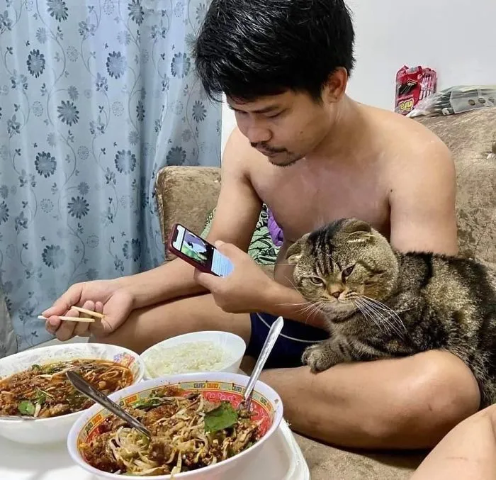 Esta mujer documenta cómo su gato le robó a su marido en 30 adorables fotos