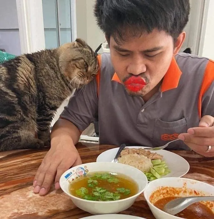 Esta mujer documenta cómo su gato le robó a su marido en 30 adorables fotos
