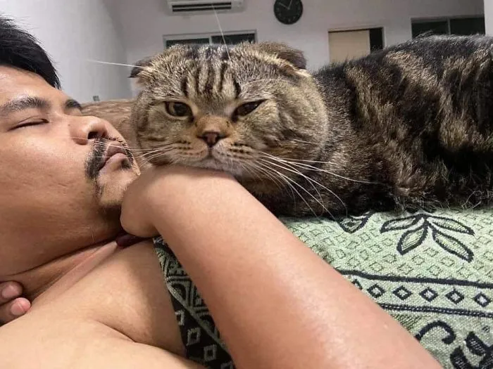 Wife Documents How This Cat Stole Her Husband In 30 Adorable Pics