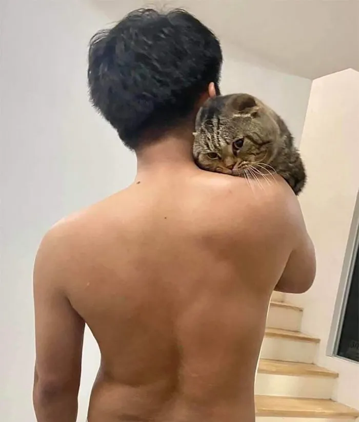 Esta mujer documenta cómo su gato le robó a su marido en 30 adorables fotos