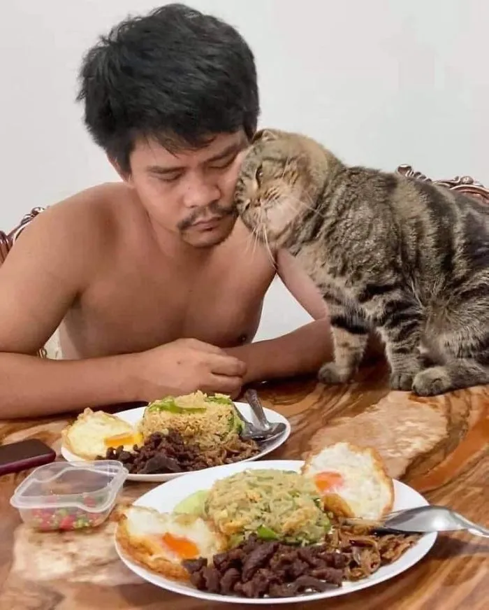 Esta mujer documenta cómo su gato le robó a su marido en 30 adorables fotos