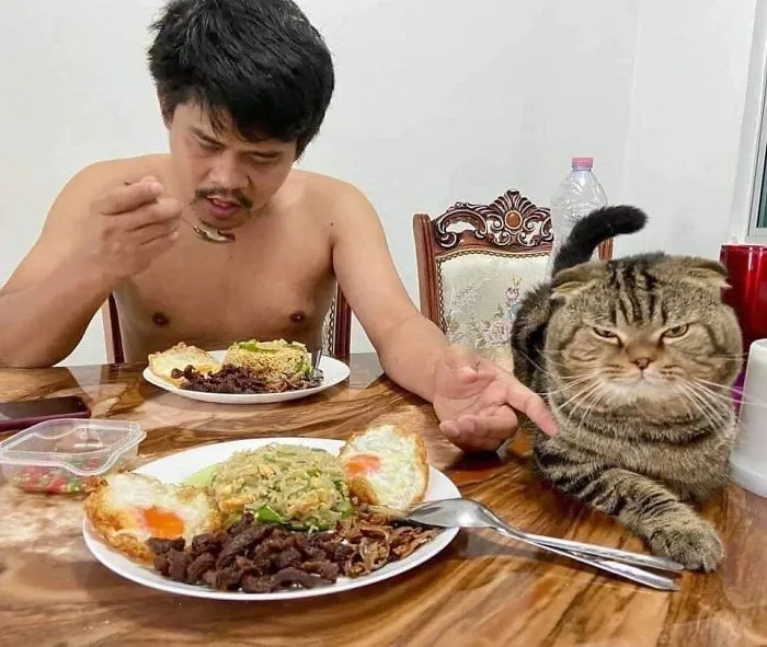 Esta mujer documenta cómo su gato le robó a su marido en 30 adorables fotos