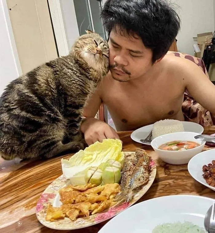 Esta mujer documenta cómo su gato le robó a su marido en 30 adorables fotos