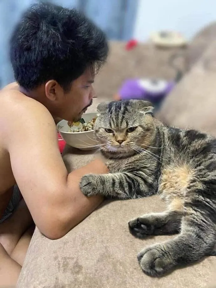Esta mujer documenta cómo su gato le robó a su marido en 30 adorables fotos