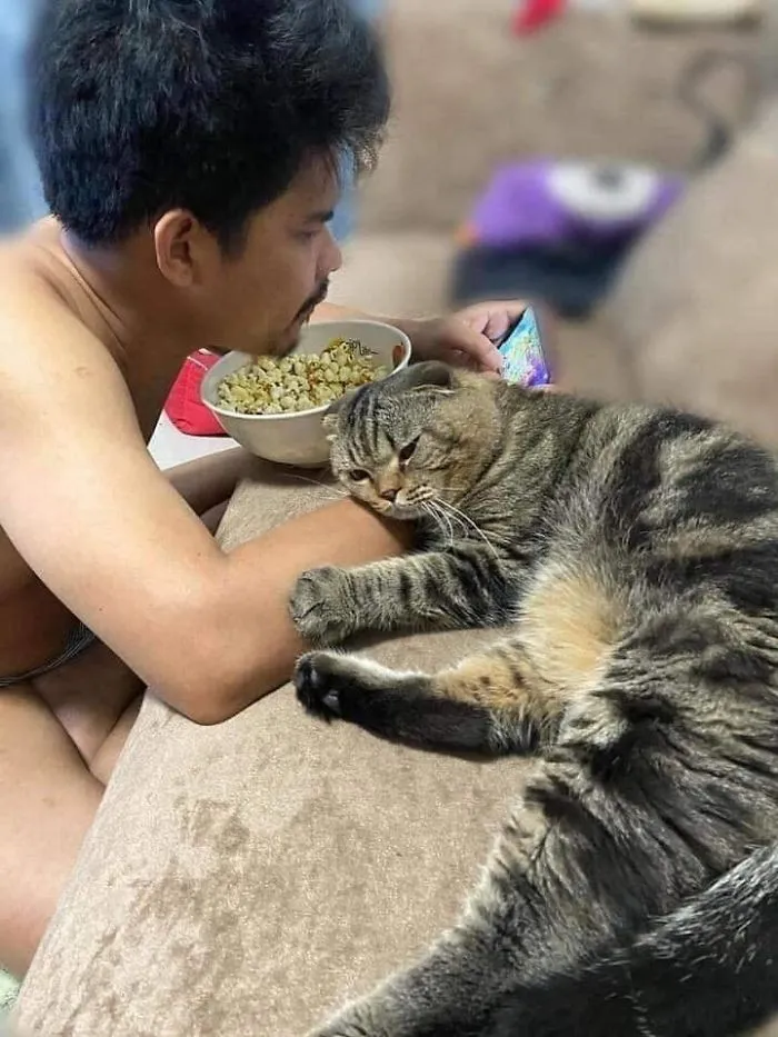 Esta mujer documenta cómo su gato le robó a su marido en 30 adorables fotos