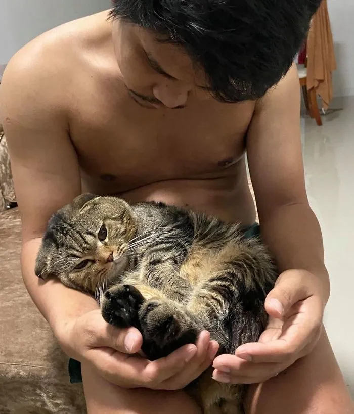 Esta mujer documenta cómo su gato le robó a su marido en 30 adorables fotos