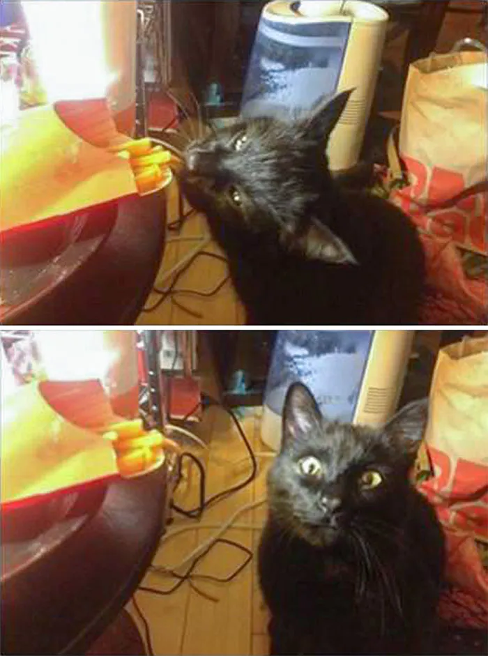 Está aún atontado tras la anestesia, pero quiere patatas fritas
