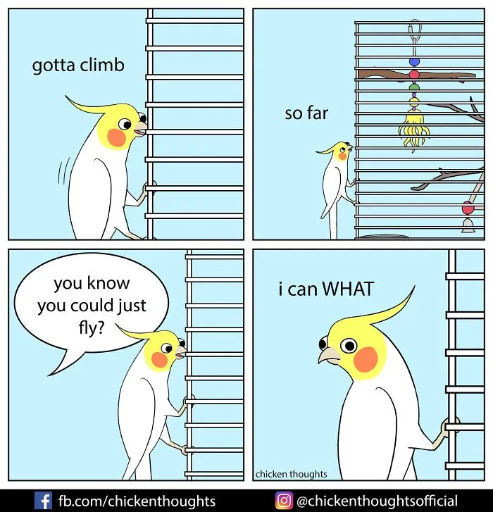 30 Funny Comics About Parrots, Illustrated By A Bird Owner