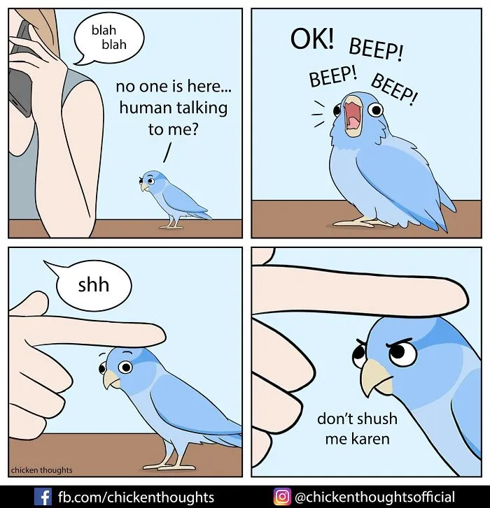 30 Funny Comics About Parrots, Illustrated By A Bird Owner