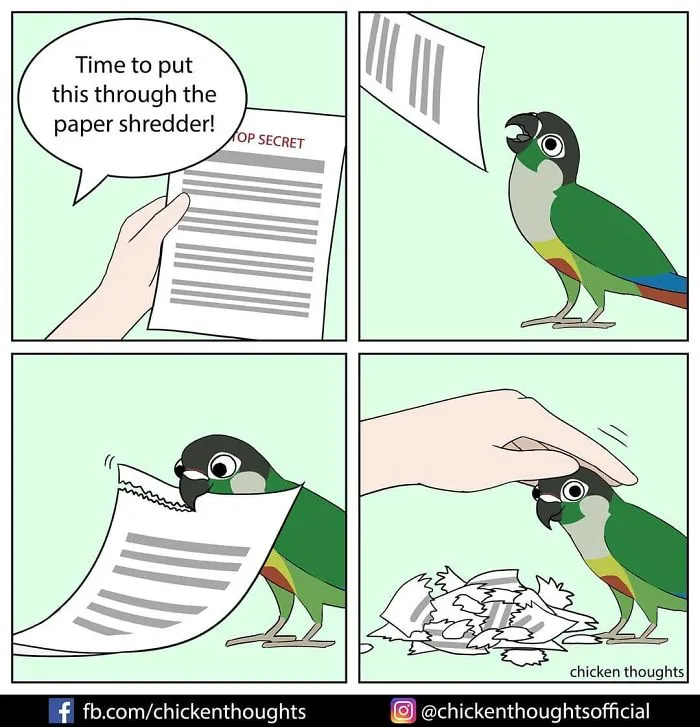 30 Funny Comics About Parrots, Illustrated By A Bird Owner