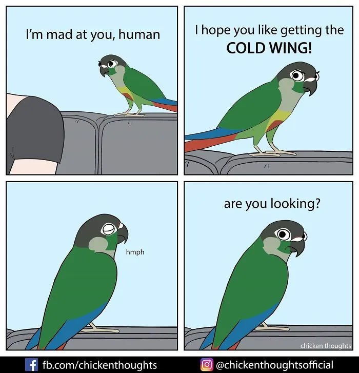 30 Funny Comics About Parrots, Illustrated By A Bird Owner