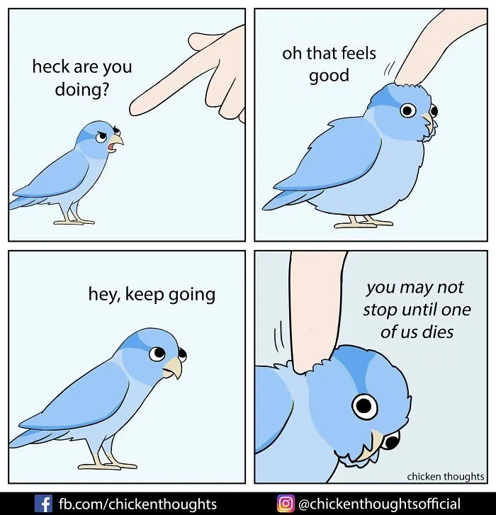 30 Funny Comics About Parrots, Illustrated By A Bird Owner