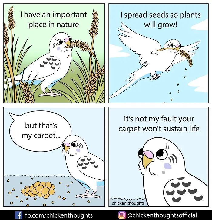 30 Funny Comics About Parrots, Illustrated By A Bird Owner