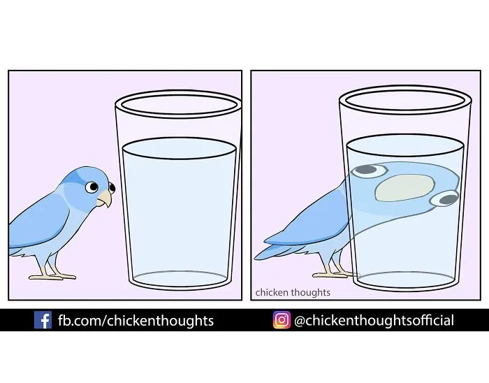 30 Funny Comics About Parrots, Illustrated By A Bird Owner