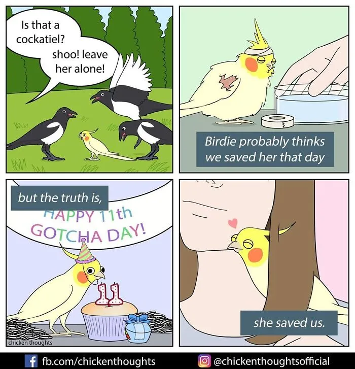 30 Funny Comics About Parrots, Illustrated By A Bird Owner