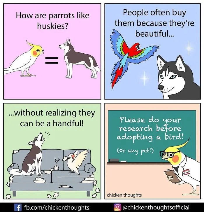 30 Funny Comics About Parrots, Illustrated By A Bird Owner