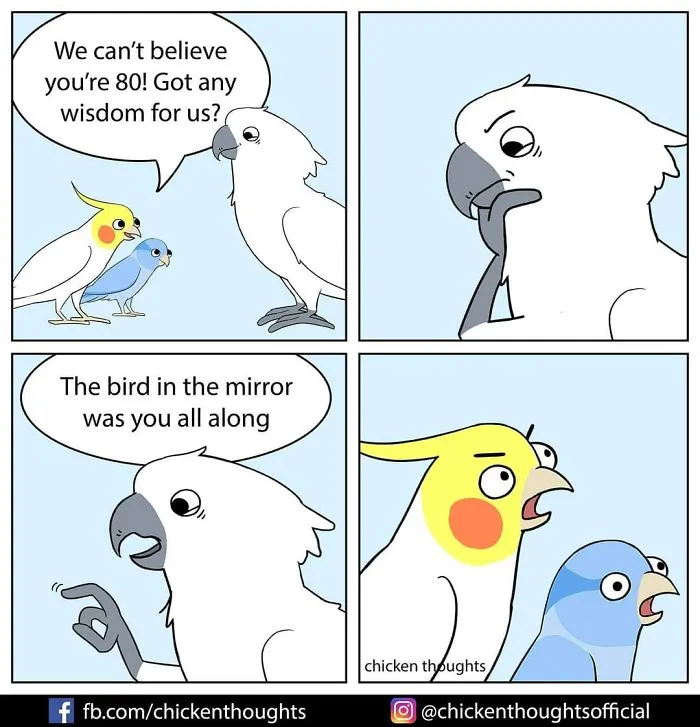30 Funny Comics About Parrots, Illustrated By A Bird Owner