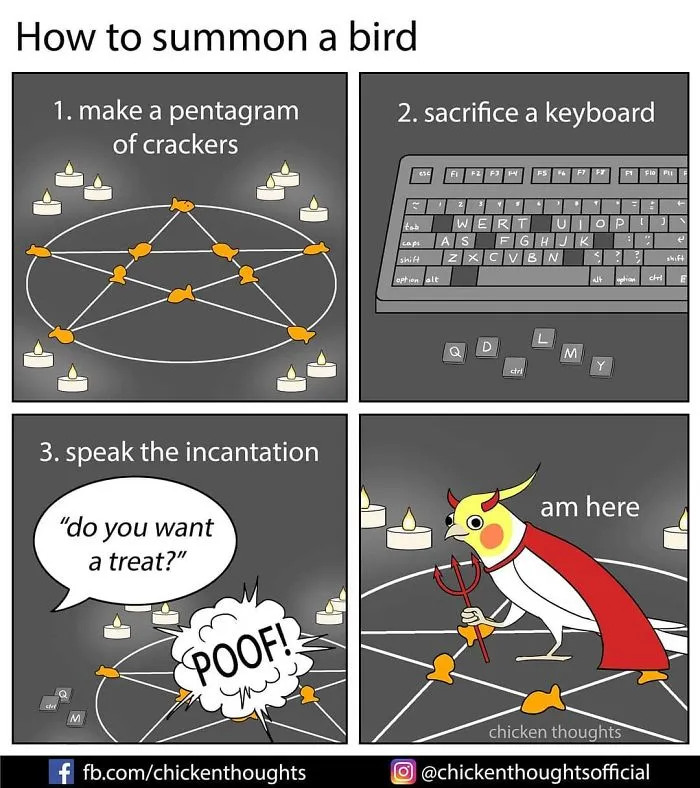 30 Funny Comics About Parrots, Illustrated By A Bird Owner