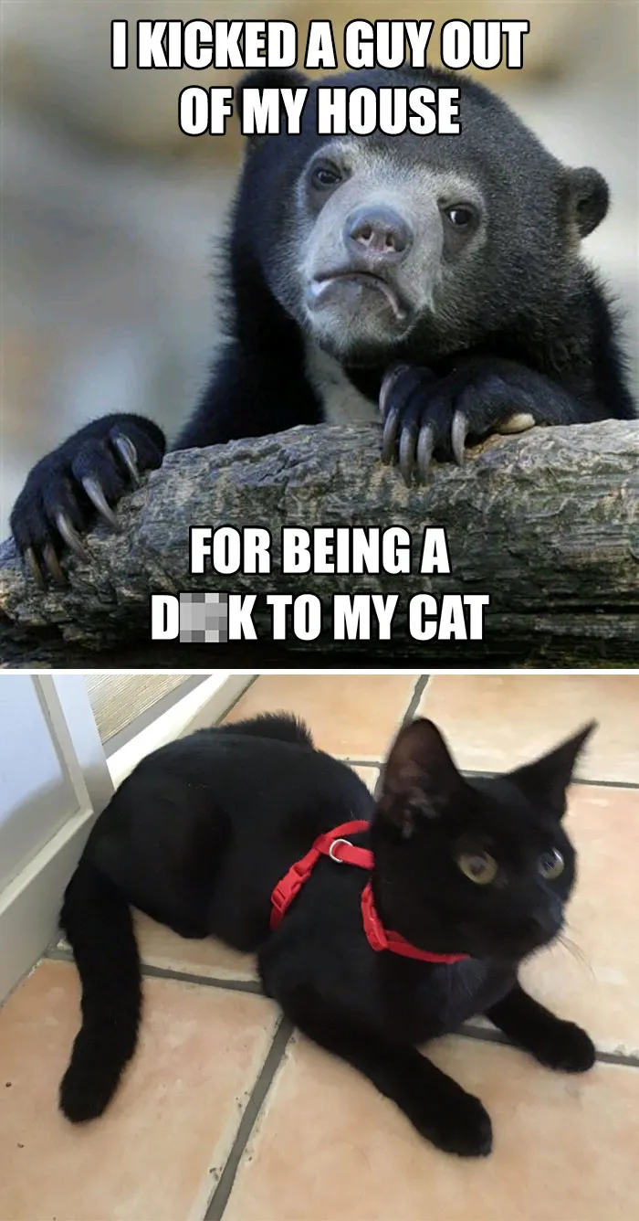 Yes I Chose The Cat