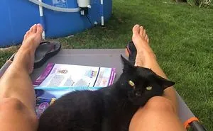 45 Of The Best 'My House, Not My Cat' Moments That Have Ever Happened To Humans (New Pics)