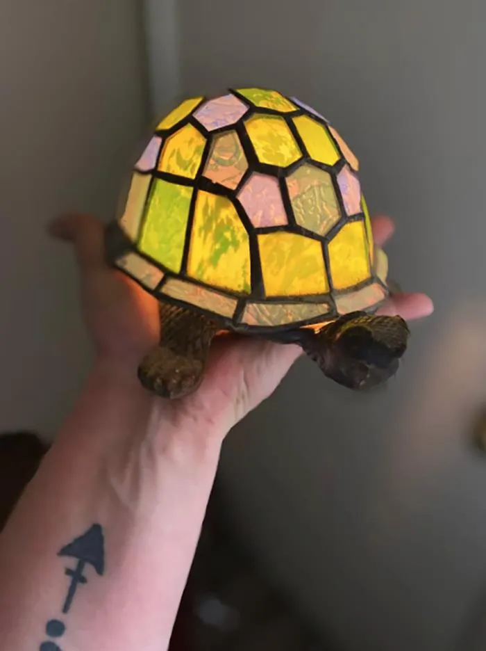 Lámpara tortuga, solo me costó 5$