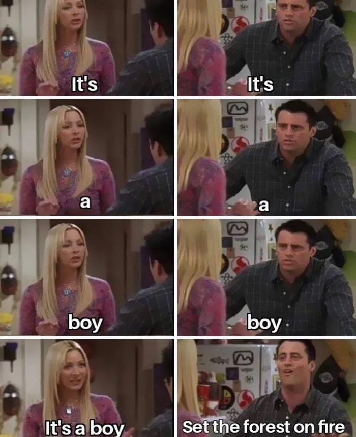 45 Of The Most Savage 'Gender Reveal Party' Memes After People Learned It Was The Cause Of An Apocalyptic Wildfire In California